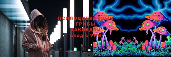 крисы Верхний Тагил