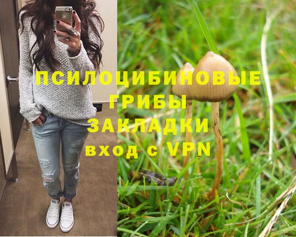 крисы Верхний Тагил