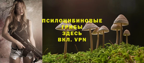 ешки Володарск