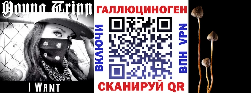 Псилоцибиновые грибы прущие грибы  Купить  Коряжма 